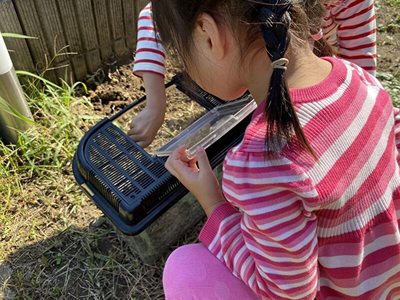 その間、娘たちはカマキリを捕まえて遊んでいたようです(*^^*)