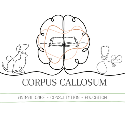 corpuscallosumanimalcare