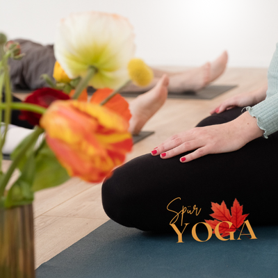 Anusara Yoga Freiburg