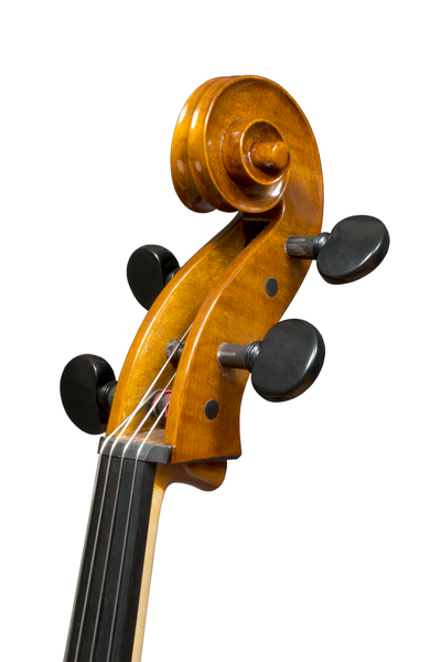 Cello "Saveuse" made in 2022 by Frank Lemke