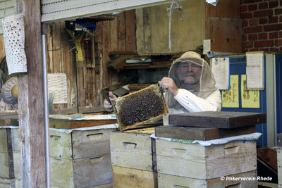 Imker mit Imkerschleier steht hinter seinen Bienenbeuten