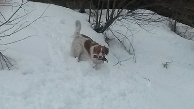 Der erste Winter
