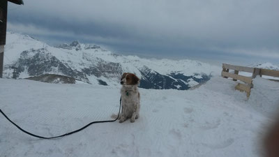 Hintertuxer Gletscher