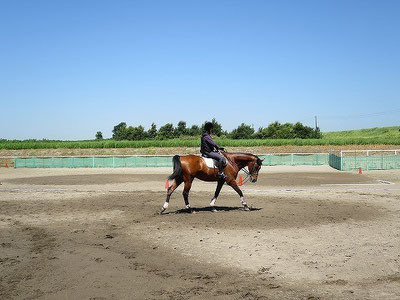 馬と一緒に楽しもう！