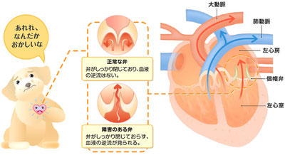 僧帽弁閉鎖不全症／愛犬のシールプリント／ビックリマンシールサイズ程 僧帽弁閉鎖不全症／愛犬のシールプリント／ビックリマンシール