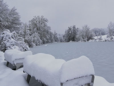 Dietikon Fondli-Weiher am 15. Januar 2021 (Foto: David Keller)