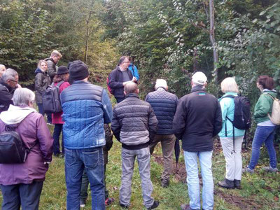 Spannendes aus dem Tannenbergwald in Gossau ZH. Bild: zvg