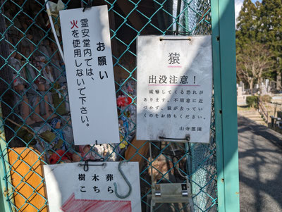 道中いたるところにある「猿注意」の掲示板