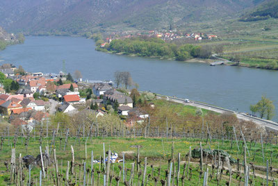 Blick auf Spitz an der Donau