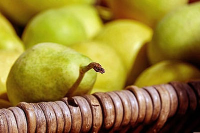 Korb mit frischen Palabirnen, der traditionellen Vinschger Birnensorte – Symbol der Vinschger Palabiratage in Glurns, wo Kulinarik und Kultur gefeiert werden.