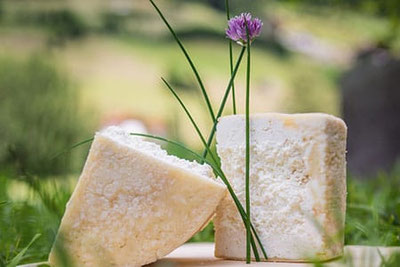 Ahrntaler Graukäse aus den Tiroler Alpen, serviert auf einer Wiese mit frischem Schnittlauch und Blüte – Symbol der traditionellen Käsekultur im Ahrntal.