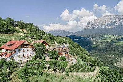 Rielinger - Biologisches Weingut & Weinverkauf in Klobenstein am Ritten in Südtirol  