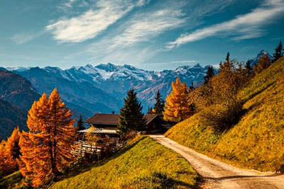 Herbstliche Prantneralm oberhalb von Sterzing im Südtiroler Wipptal mit goldenem Lärchenwald, Panoramablick auf die schneebedeckten Stubaier Alpen und idyllischem Almweg.