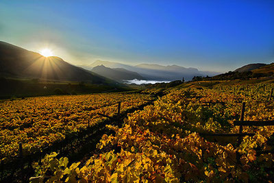 Herbstliche Weinberge am Kalterer See im goldenen Morgenlicht, mit Blick auf das Tal und die umliegenden Berge – perfekte Kulisse der Autumn Experience.