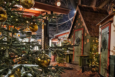 Forster Weihnachtswald - Algund - Foresta Natalizia Forst - Lagundo - Südtirol - Alto Adige - Gourmet Südtirol