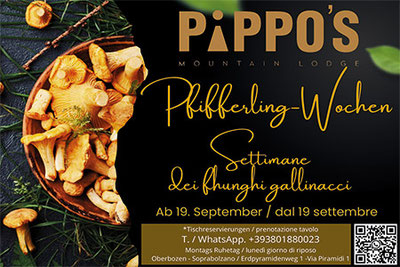 Settimane dei funghi gallinacci al ristorante Pippo's Mountain Lodge di Soprabolzano sul Renon in Alto Adige