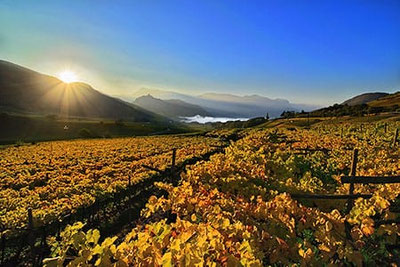 I vigneti autunnali sul Lago di Caldaro nella luce dorata del mattino, con vista sulla valle e sulle montagne circostanti: lo scenario perfetto per l'Autumn Experience.