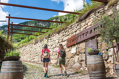 Der Eingang zum schönen Gewürztraminer-Weg in Tramin an der Südtiroler Weinstraße in Südtirol