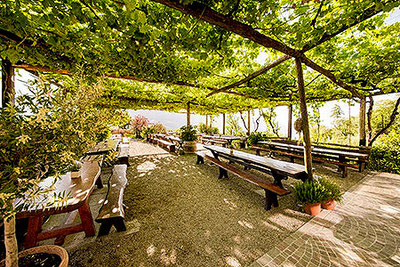 Haidenhof Restaurant Ristorante Buschenschank Osteria contadina Weingut Tenuta Vitivinicola Tscherms Cermes Gourmet Südtirol