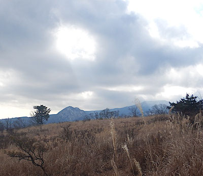 柏嶺より矢筈山、遠笠山