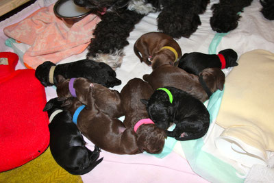 Unsere Kinderschar