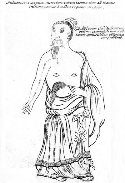 Illustration extraite de l'ouvrage : Specimen medicinae sinicae, édité par Andreas Cleyer