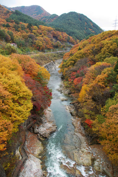 水上渓谷の紅葉