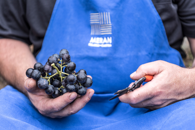 Suser-Zeit bei der Kellerei Meran Gourmet Südtirol