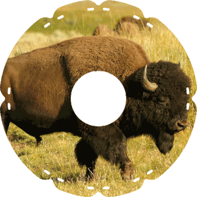 2008 Wisent