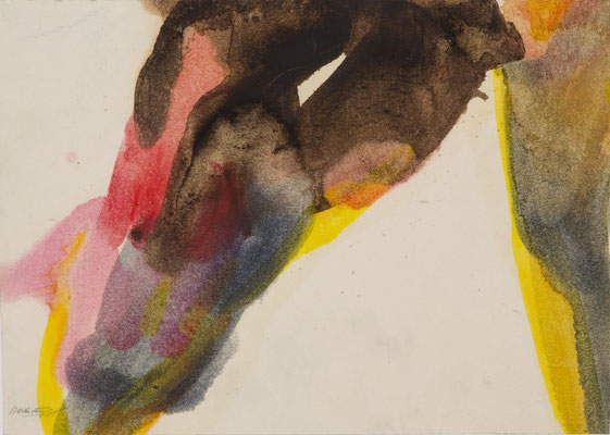 Gottfried Mairwöger, Amaryllis, 1975, Aquarell auf Papier, 29,5 x 41,5 cm - österreichische Privatsammlung
