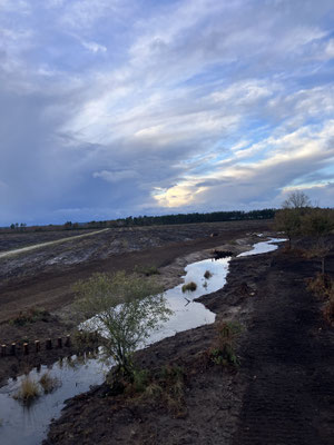 Remise en eau zone humide à Hourtin