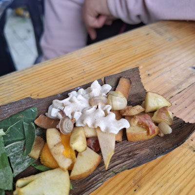 Welche Lebensmittel bevorzugen Schnecken?