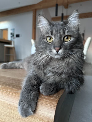 Jinx