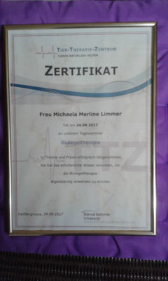 Zertifikat Blutegel- Therapeut