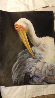 fenicottero-acrilico su cartoncino telato- 30x40