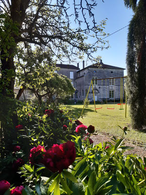 Balançoires dans le parc