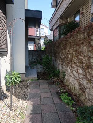 造園施工前