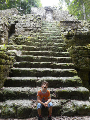 escalier monumental au milieu de la jungle