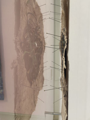 Neighborhood Ecology Installation Image