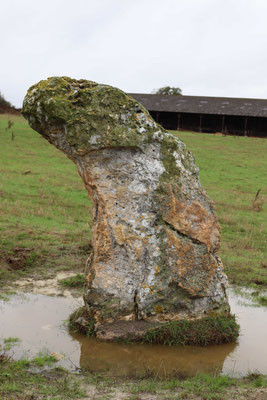 Menhir du Grand-Aslon (Lingé)