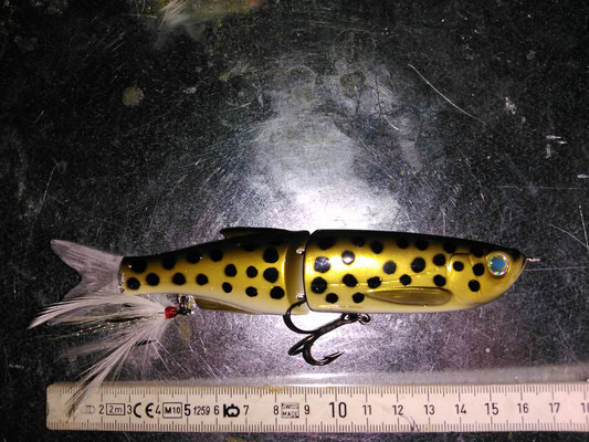 Bester Köder zum Spinnfischen!? - Wallertretzer Buronia Guiding