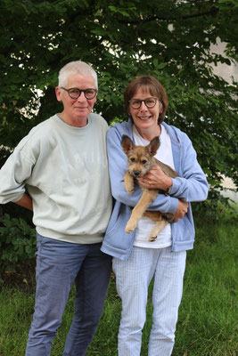 Anouk wohnt an der Wursten Nordseeküste bei Marlies Stapper und Ulrike Biermann mit zwei weiteren Picards, ein Beauceron und ein weißer Schäferhund