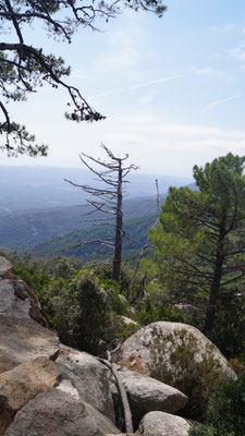 Dans le massif de l'Ospédale: Corse du Sud