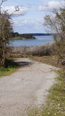 Vers la plage du Penhap