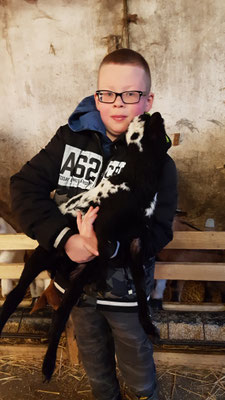 EIn Schüler hält ein kleines Schaf auf dem Arm