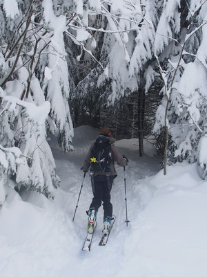Denise Sigg Skitour auf den Bachtel 1115m