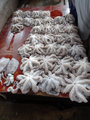 Tintenfisch-Angebot auf dem Markt in Stonetown.