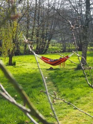 Angela in der Hängematte mitten im Garten zwischen Birke und Kirsche (glaub ich)