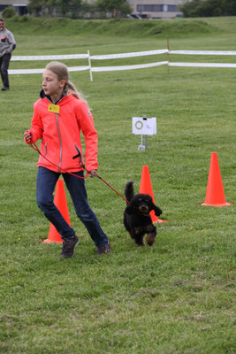 Rally Obedience 2019