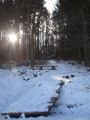 Impressionen - Winter am Fuße des Taunus